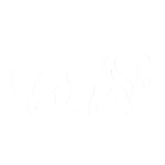 Made in India badge